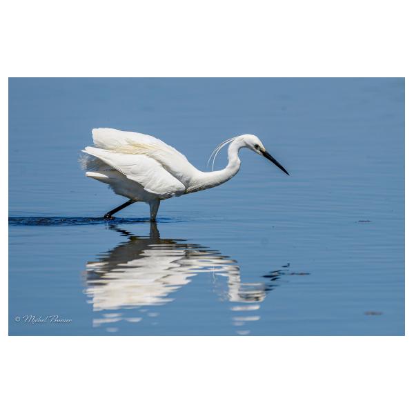 PHOTO84, CLUB, 84 , LUBERON